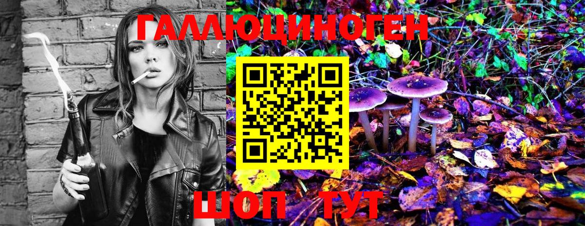 Псилоцибиновые грибы мицелий  Псилоцибиновые грибы Magic Shrooms  Горячий Ключ 